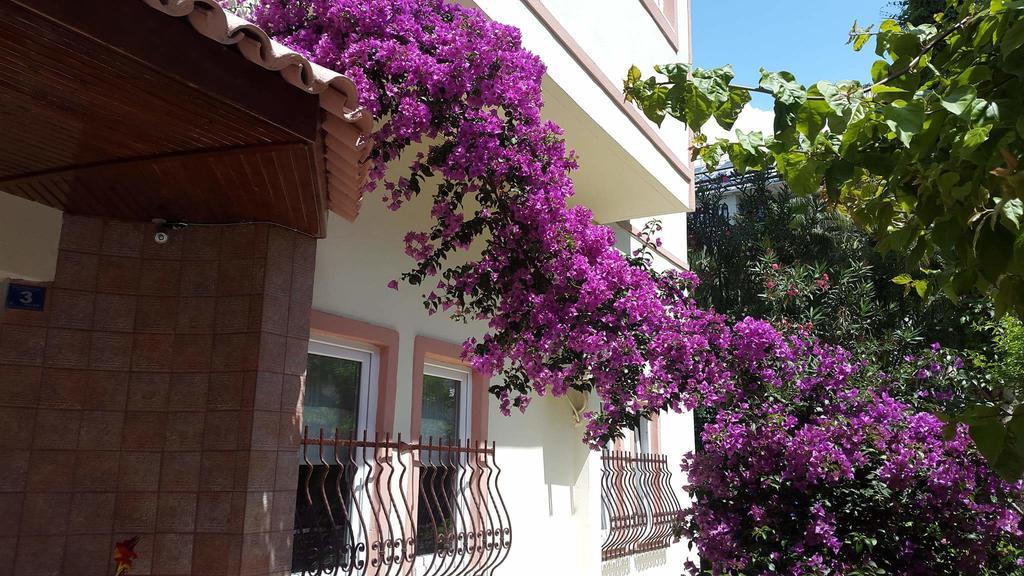 The S Apart & Suites Hotel Alanya Buitenkant foto